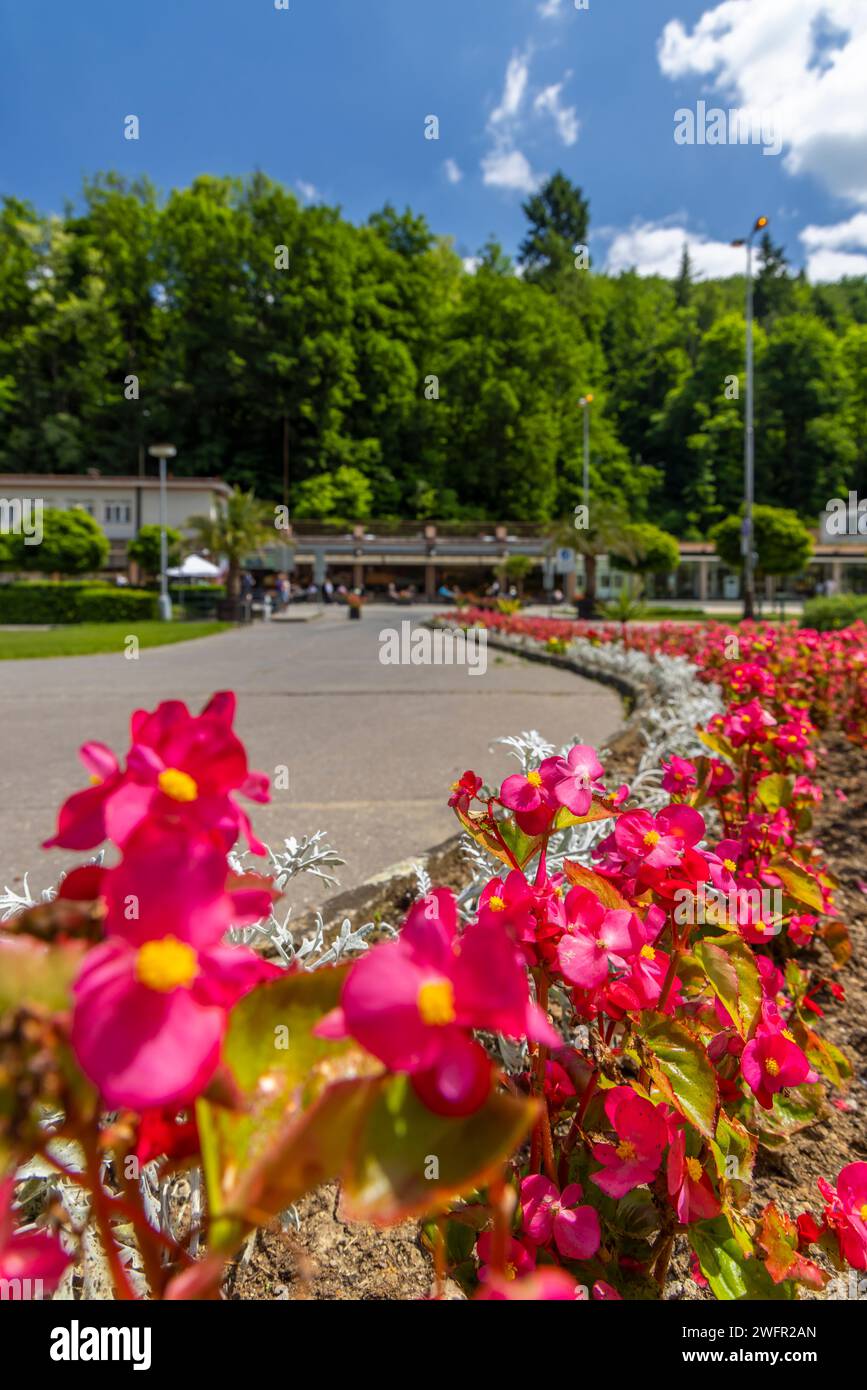 Luhacovice, ville thermale pittoresque du sud de la Moravie, République tchèque Banque D'Images