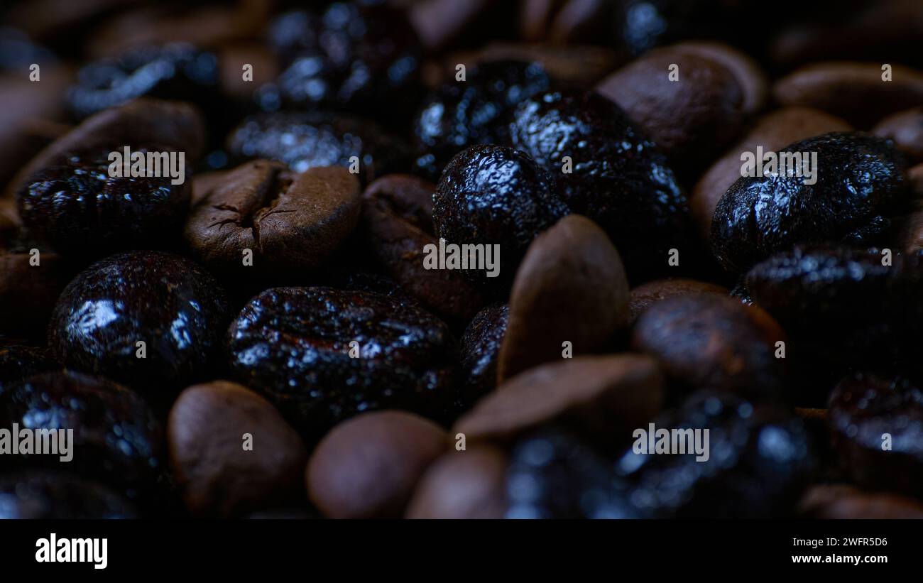 Grains de café de degrés variables de torréfaction. Macro. Gros plan. Banque D'Images