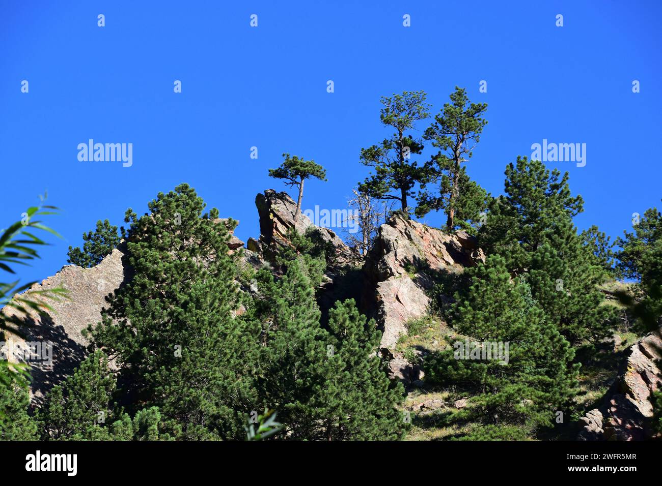 Randonnée de luxe dans les montagnes rocheuses canadiennes Randonnée de luxe dans les montagnes rocheuses canadiennes