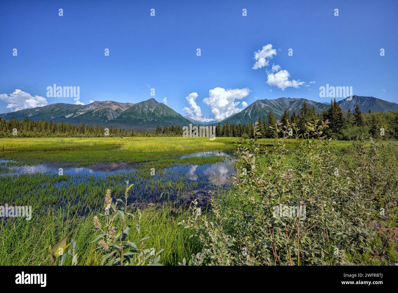 Près du lac Chokosna par le bord de la route de McCarthy Banque D'Images