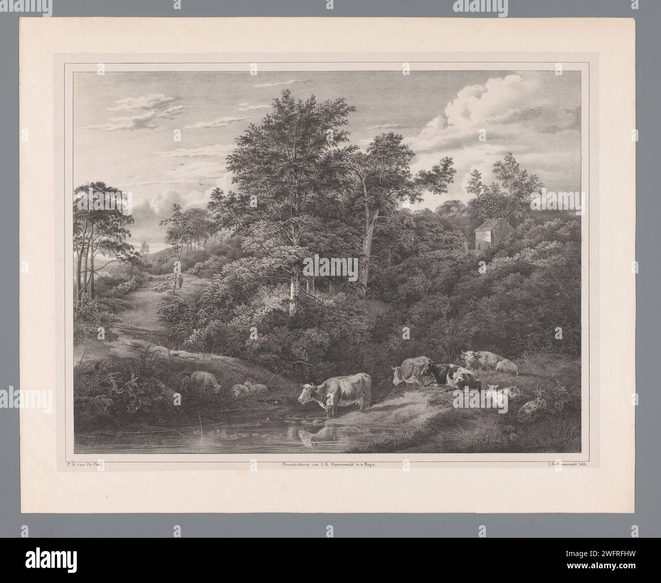 Paysage avec des vaches sur l'eau, Jan Dam Steuerwald, d'après Pieter Gerardus van OS, 1833 - 1863 imprimer vaches, chèvres et moutons se trouvent près d'un ruisseau. À gauche en arrière-plan, un berger court avec son troupeau. Sur la droite une maison. Partie d'une couverture avec neuf lithographies de peintures de maîtres hollandais. Le journal de la Haye. paysages (+ paysage avec figures, staffage). vache Banque D'Images