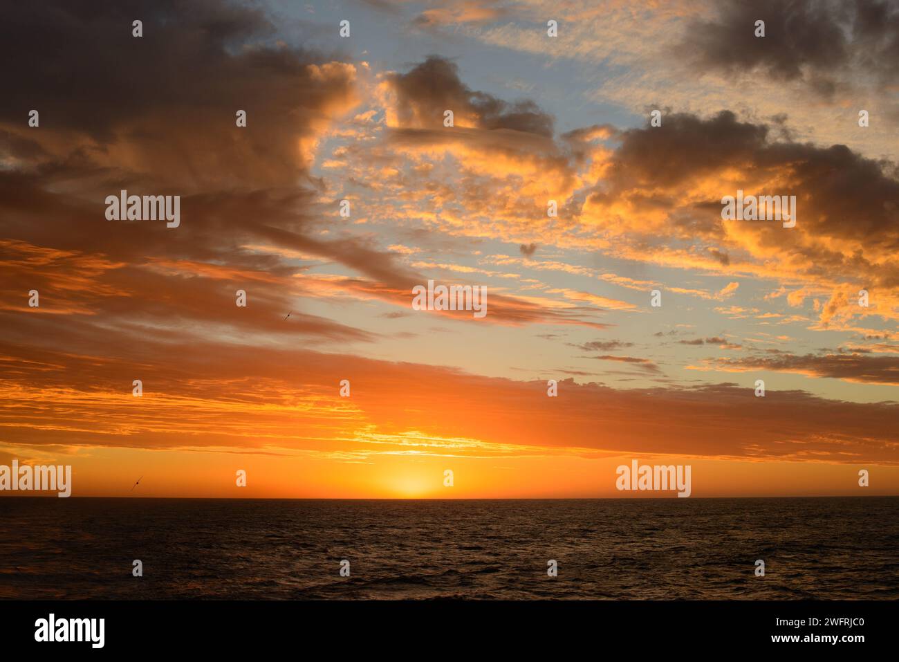 La scène capture un océan serein au coucher du soleil, le ciel embrasé de teintes orange et jaune, avec les silhouettes de deux oiseaux marins en vol, mettant en valeur TH Banque D'Images