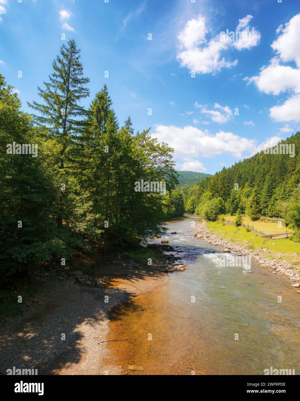 paysage de campagne des carpates avec rivière sur une journée ensoleillée en été. arbres le long du rivage rocheux et forêt sur la colline. paysage montagneux de ukrai Banque D'Images