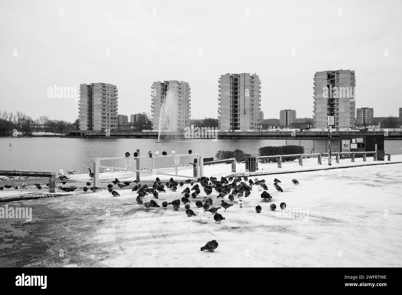Southmere Towers à SE2 surplombant Southmere Lake, une partie du domaine brutaliste Thamesmead construit en 1967 par GLC Banque D'Images