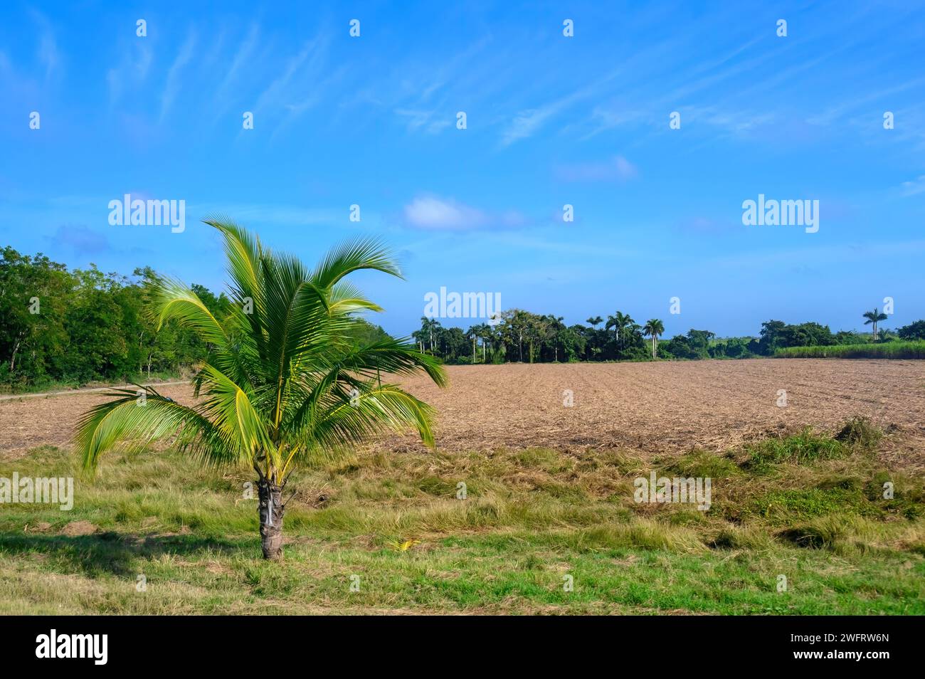 beauté et simplicité d'un paysage tropical Banque D'Images beauté et simplicité d'un paysage tropical Banque D'Images