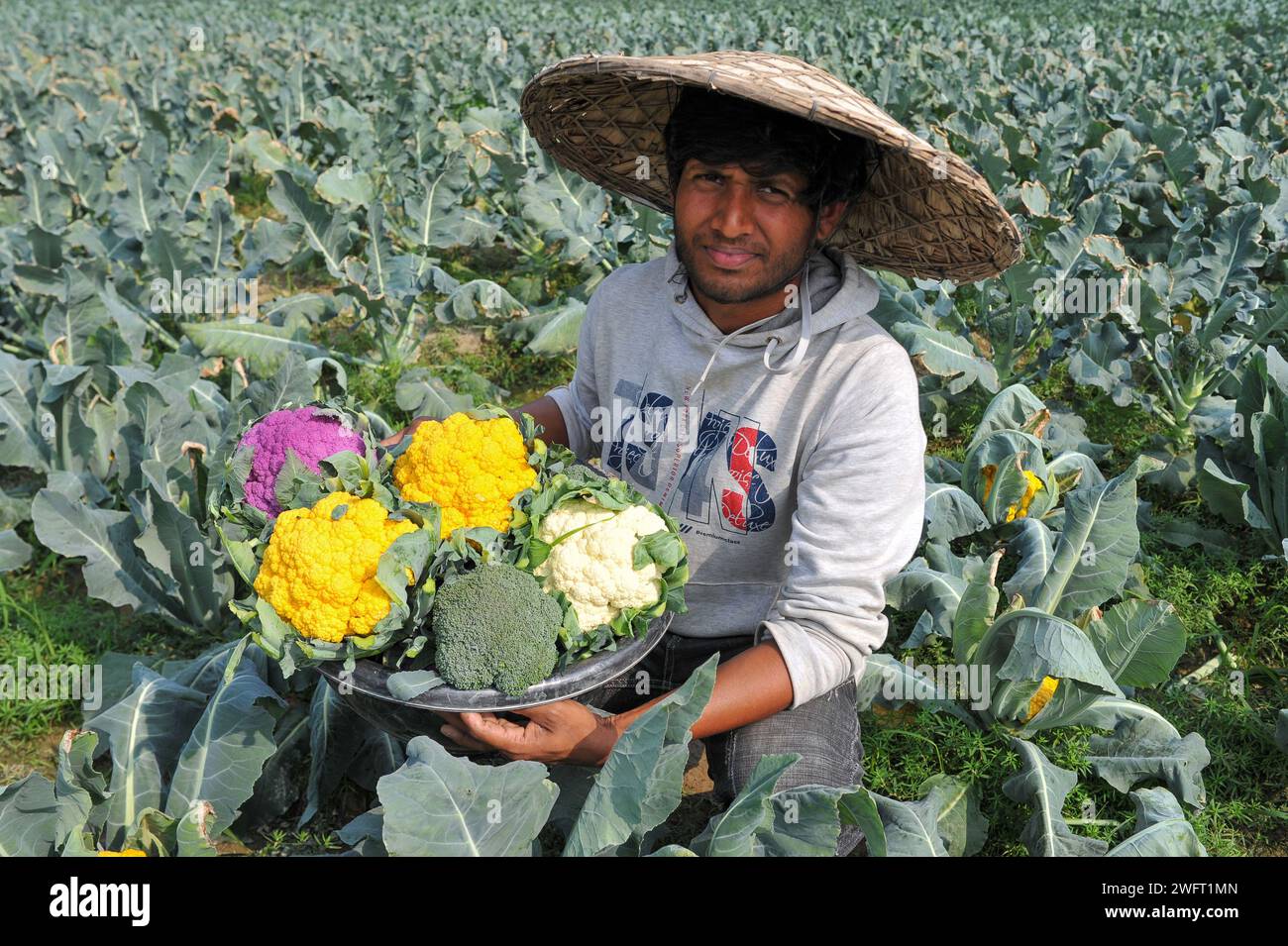 Un jeune agriculteur avec Valentina et Corotina, 2 variétés de chou-fleur, qui sont anti-diabétiques et anti-cancer cultivés sur ses champs. Il a d'abord collecté 8 000 graines en Inde, et avec l'aide de la Direction de l'extension de l'agriculture de Gowainghat Upazila, il a cultivé du chou-fleur de 6 couleurs dans le village de Barnagar de Fatehpur Union dans l'upazila de Gowainghat, district de Sylhet. Sylhet, Bangladesh. Banque D'Images