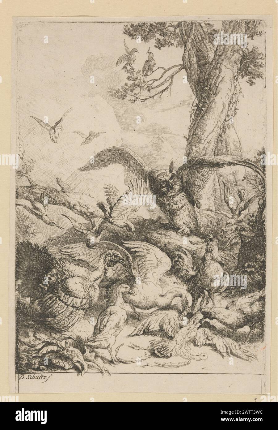 Oiseaux cueillant des sources de paon d'une pie, Georg Daniel Schultz (II), 1620 - 1683 impression à la fable de la pie avec les sources de paon d'Aesopus. La fable décrit comment une pie a décoré avec des ressorts de paon pour appartenir aux paons. Cependant, il est démasqué et choisi et choisi par les paons. La morale de l'histoire montre qu'ils doivent rester avec leur propre position. gravure sur papier des oiseaux ornementaux : paon. Fables d'Aesop : utilisez 85(...) Banque D'Images