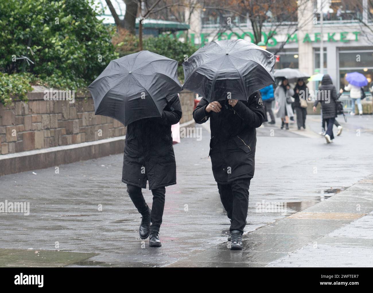 Scènes hivernales de New York. Date de la photo : Dimanche 28 janvier 2024. Photo : Richard Gray/Alamy Banque D'Images