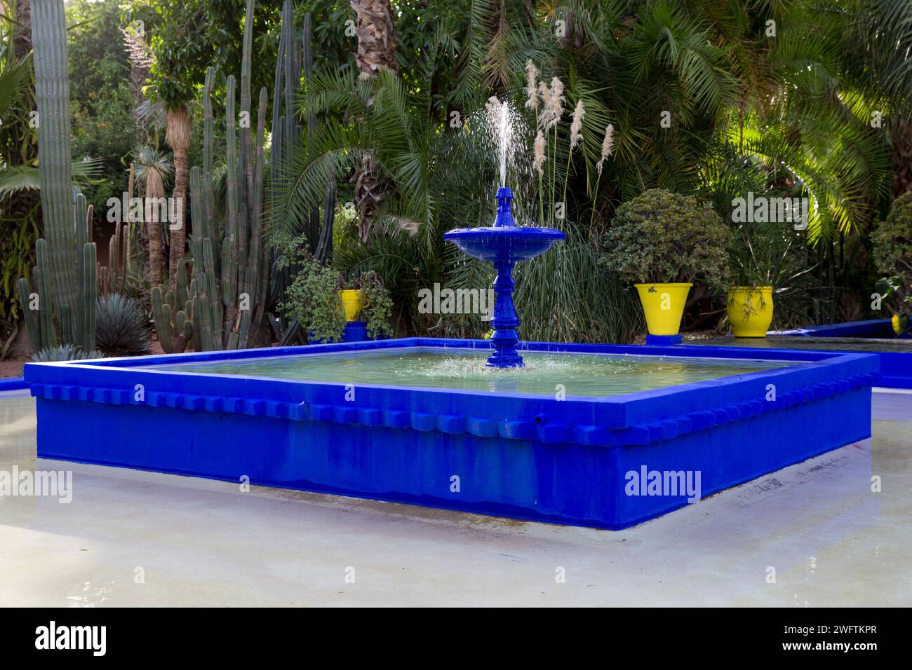 Jardin Yves Saint Laurent Maroc Marrakech Marrakech jardins marocains jardin Majorelle Banque D'Images