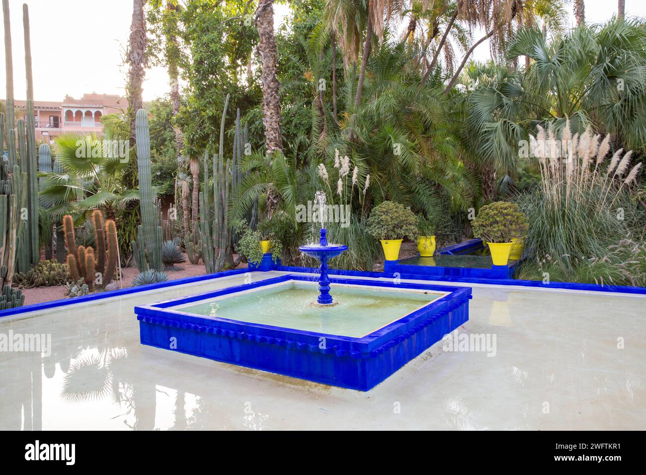 Jardin Yves Saint Laurent Maroc Marrakech Marrakech jardins marocains jardin Majorelle Banque D'Images