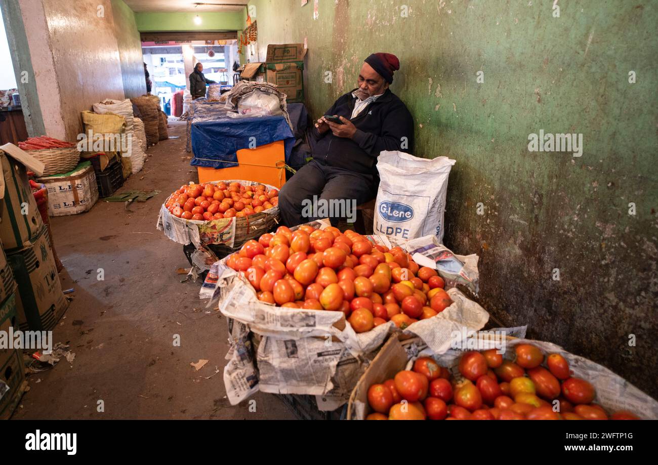 Vendeur vendant des tomates sur un marché, avant la présentation du budget intérimaire 2024 par le ministre des Finances de l’Union, Nirmala Sitharaman, à Guwahati, Assam, Inde, le jeudi 1 février, 2024. crédit : David Talukdar/Alamy Live News Banque D'Images