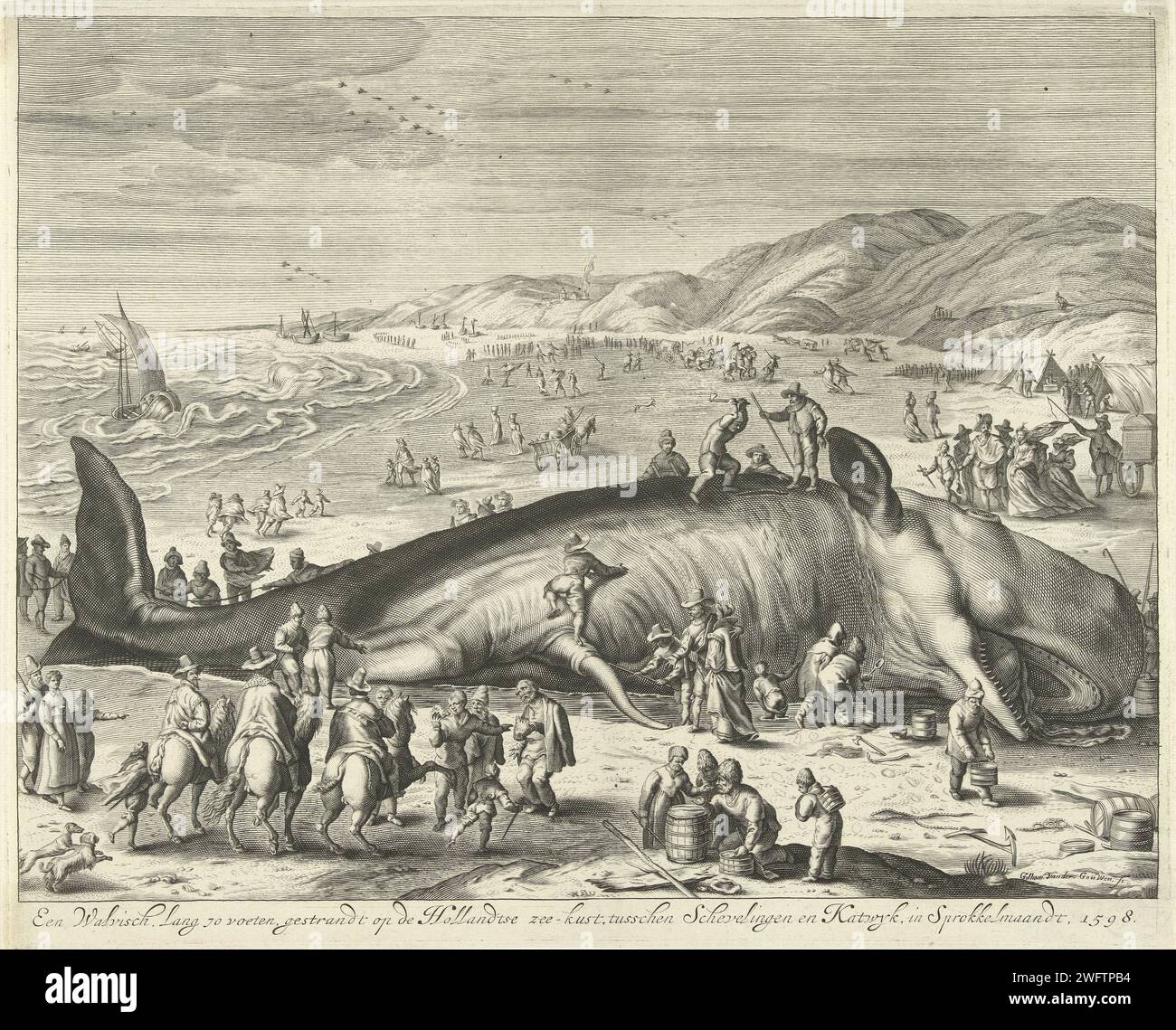 Baleine échouée à Berckhey, 1598, Gilliam van der Gouwen, d'après Jacob Matham, 1679 - 1681 imprimer février 2, 1598. Sur la plage de Berckhey, entre Scheveningen et Katwijk est un grand sperme lavé. Au premier plan quelques cavaliers, derrière les gens animaux et les voitures sur la plage. Copie à l'original de Jacob Matham. Haarlem gravure sur papier mammifères nageurs : baleine (+ animal mourant ; mort de l'animal ; animal mort) Katwijk. Scheveningen Banque D'Images