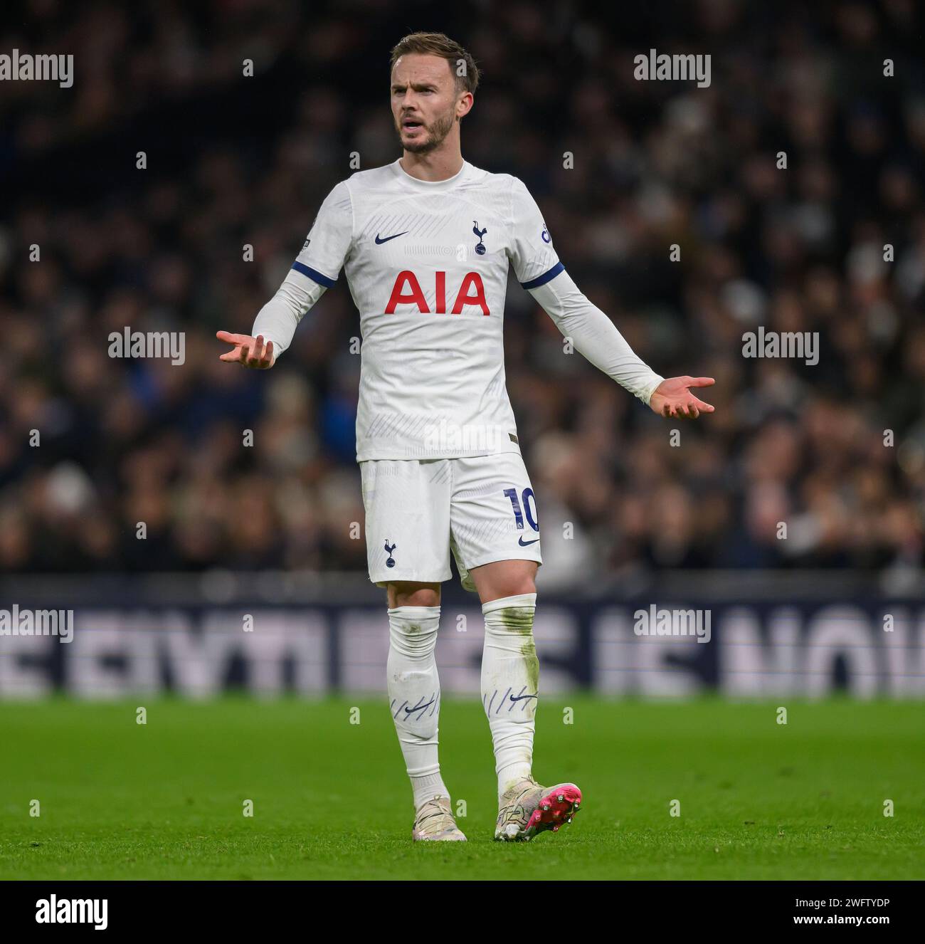 Londres, Royaume-Uni. 31 janvier 2024 - Tottenham Hotspur v Brentford - Premier League - Tottenham Hotspur Stadium. James Maddison de Tottenham en action. Crédit photo : Mark pain / Alamy Live News Banque D'Images