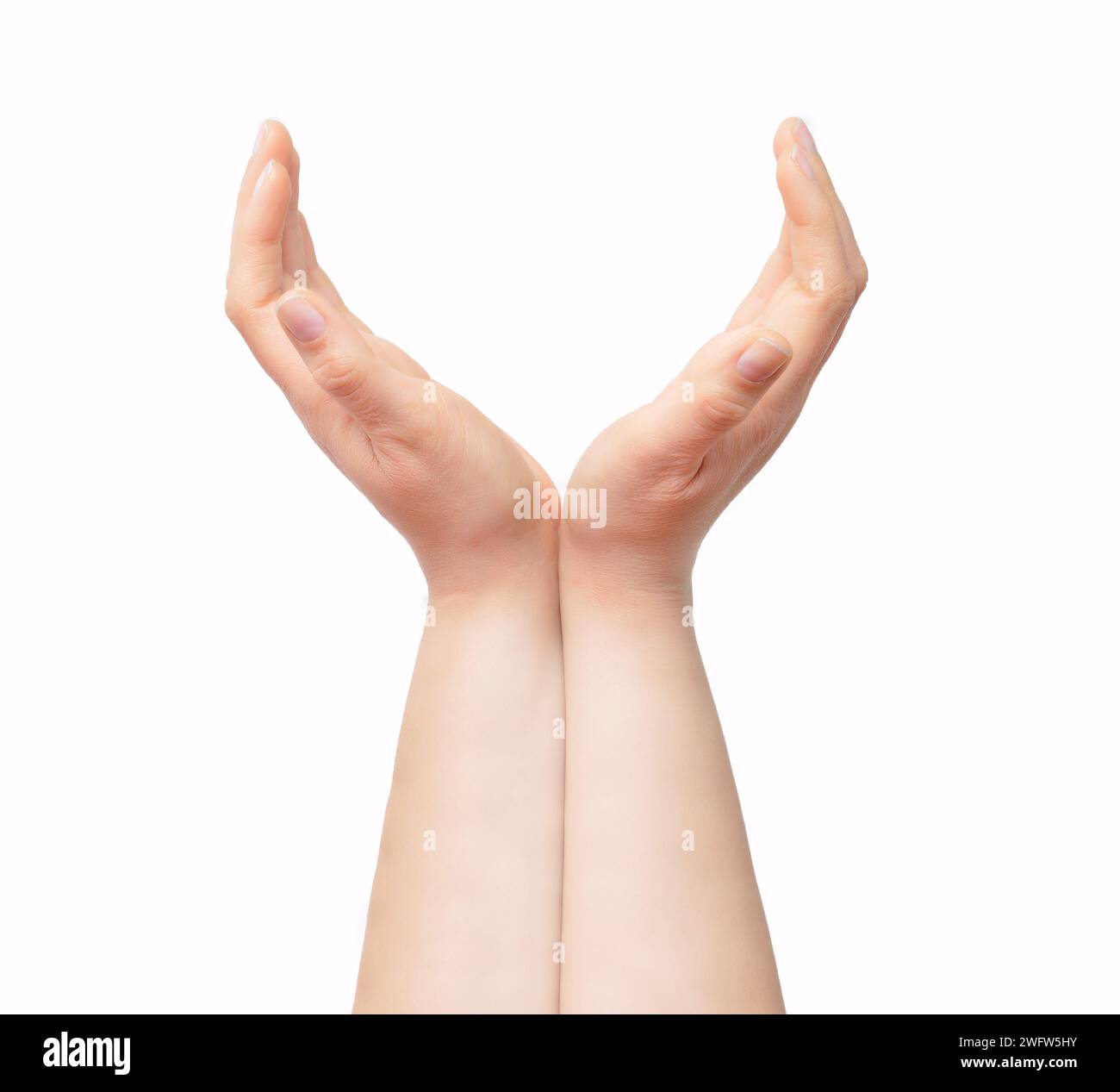 Plan recadré d'une main méconnaissable d'une femme avec paumes vers le haut isolé sur un fond blanc Banque D'Images