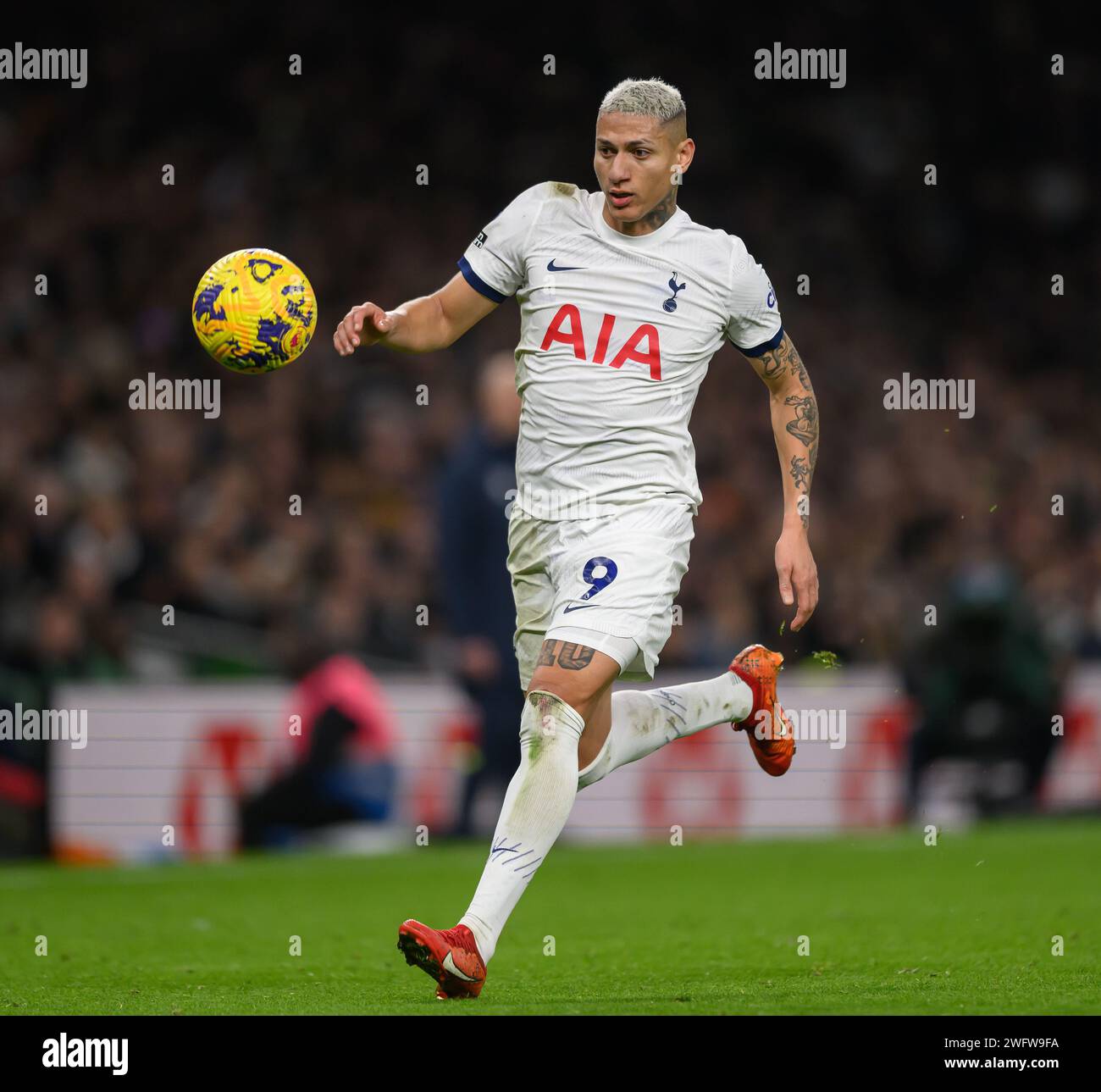 Londres, Royaume-Uni. 31 janvier 2024 - Tottenham Hotspur v Brentford - Premier League - Tottenham Hotspur Stadium. Le Richarlison de Tottenham en action. Crédit photo : Mark pain / Alamy Live News Banque D'Images