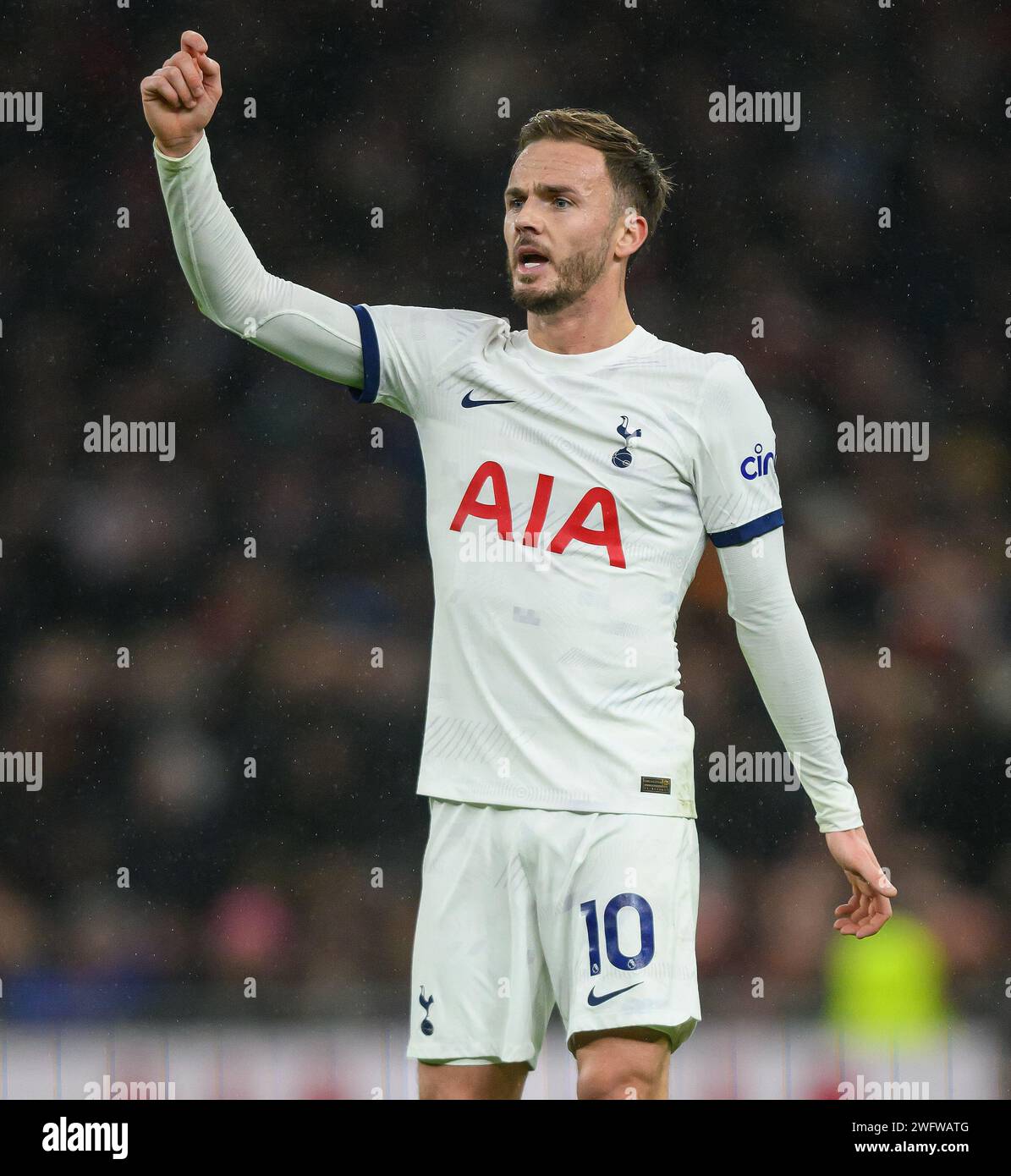 Londres, Royaume-Uni. 31 janvier 2024 - Tottenham Hotspur v Brentford - Premier League - Tottenham Hotspur Stadium. James Maddison de Tottenham en action. Crédit photo : Mark pain / Alamy Live News Banque D'Images