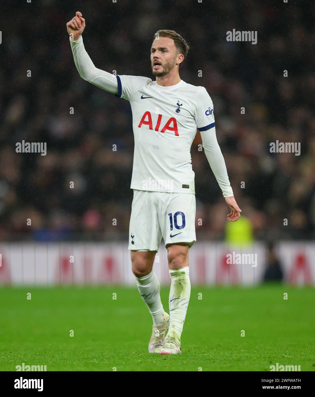 Londres, Royaume-Uni. 31 janvier 2024 - Tottenham Hotspur v Brentford - Premier League - Tottenham Hotspur Stadium. James Maddison de Tottenham en action. Crédit photo : Mark pain / Alamy Live News Banque D'Images