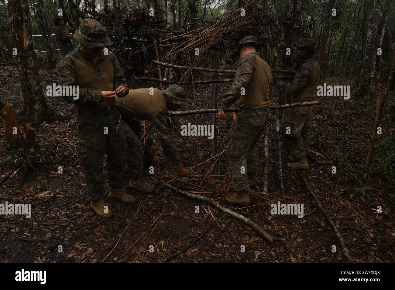 Les Marines américains avec la III Marine Expeditionary Force construisent des abris lors d'un cours de base sur les compétences de la jungle au Jungle Warfare Training Center sur le Camp Gonsalves, Okinawa, Japon, le 9 janvier 2024. BJSC enseigne aux Marines les compétences de base de survie dans la jungle, les techniques tactiques de suspension de corde, et les tactiques de guerre de jungle pour améliorer la létalité dans les environnements difficiles de jungle. Banque D'Images