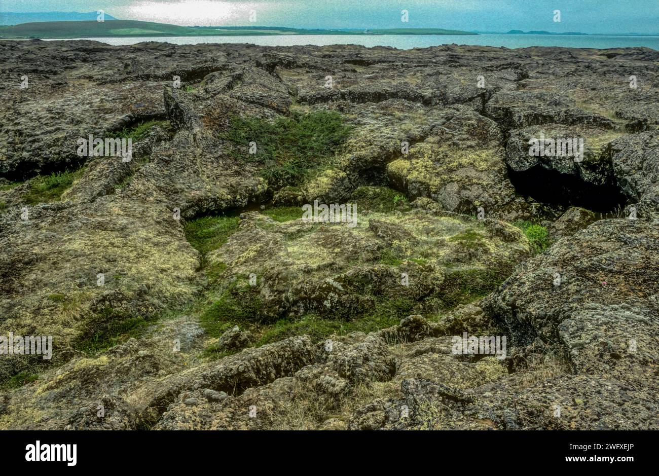 Image d'archive de 1991 du champ de lave d'Eldhraun dans le sud-est de l'Islande. Banque D'Images