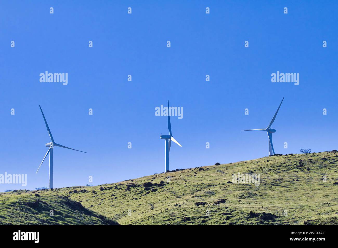 Des turbines éoliennes au travail sur une colline de Maui. Banque D'Images