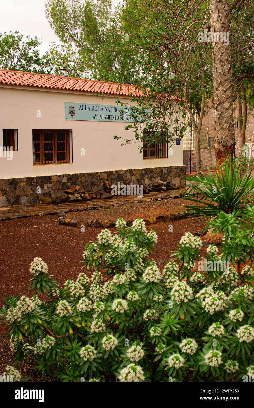 Fuerteventura, Pajara, jardin près du centre culturel, Parque Celestinas, Centre culturel, Plaza de Nossa Sra de Reglas. Banque D'Images