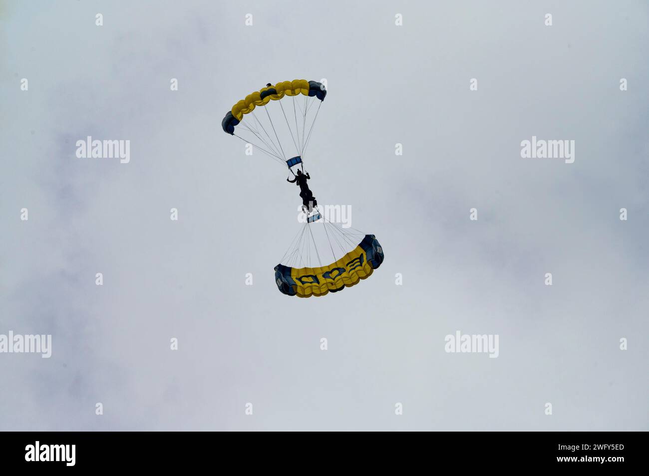 Deux membres de l'équipe de parachutistes de l'US Navy effectuent des techniques de parachutisme en tandem à Baltimore, Maryland, le 27 janvier 2024. L'équipe a effectué des démonstrations de parachutisme en tandem lors du match du championnat de l'American football Conference. (Photo de l'US Air Force par l'aviateur principal Ruben Garibay) Banque D'Images