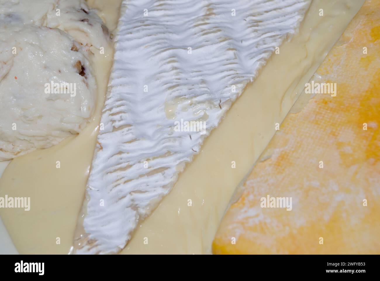 Brie de Meaux, Roblichon et fromage Banque D'Images