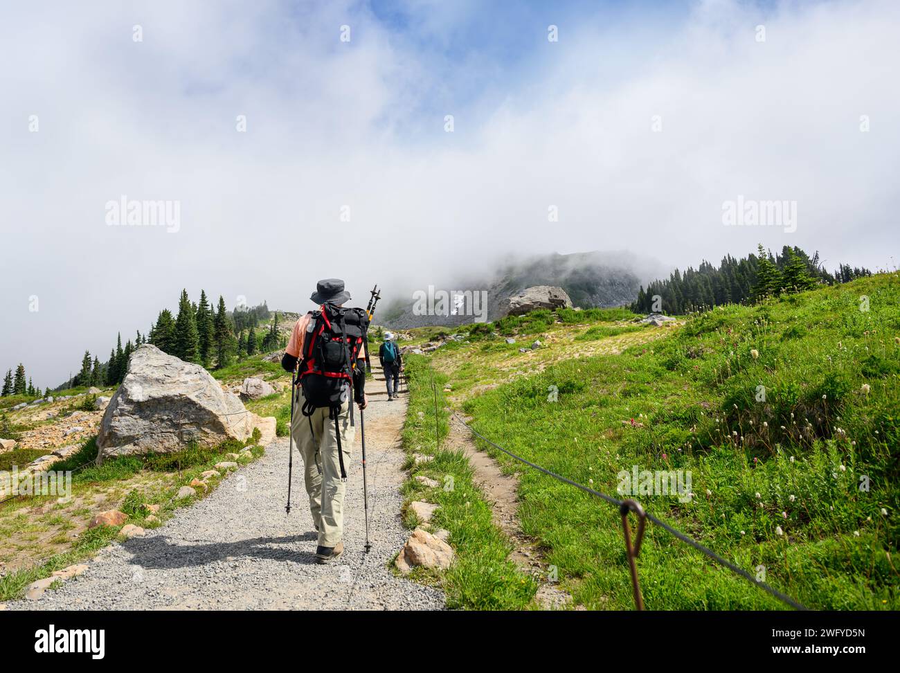 Man randonnée Skyline Loop Trail dans le parc national du Mont Rainier en été. Fleurs sauvages fleurissant le long du sentier. État de Washington. Banque D'Images