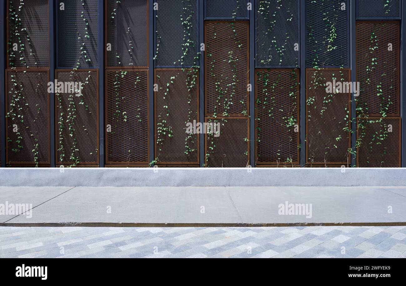Plancher vide avec fil de maille et fond décoré de lierre vert Banque D'Images