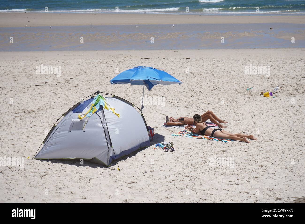 Adelaide, sa Australie 2 février 2024 . Les amateurs de plage apprécient le soleil et le temps chaud à Adélaïde alors que les températures atteignent plus de 31 celsius. Selon l'Institut australien de la santé et du bien-être, plus de 430 000 personnes sont diagnostiquées chaque année avec un cancer de la peau non mélanome les Australiens ont été invités à exercer la sécurité solaire. Crédit : amer ghazzal/Alamy Live News Banque D'Images