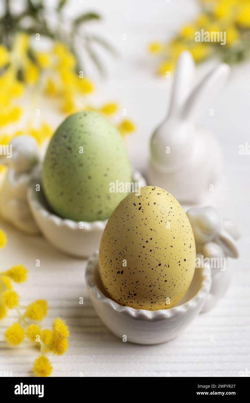 Oeufs de pâques colorés et fleurs de mimosa sur fond de béton gris Banque D'Images