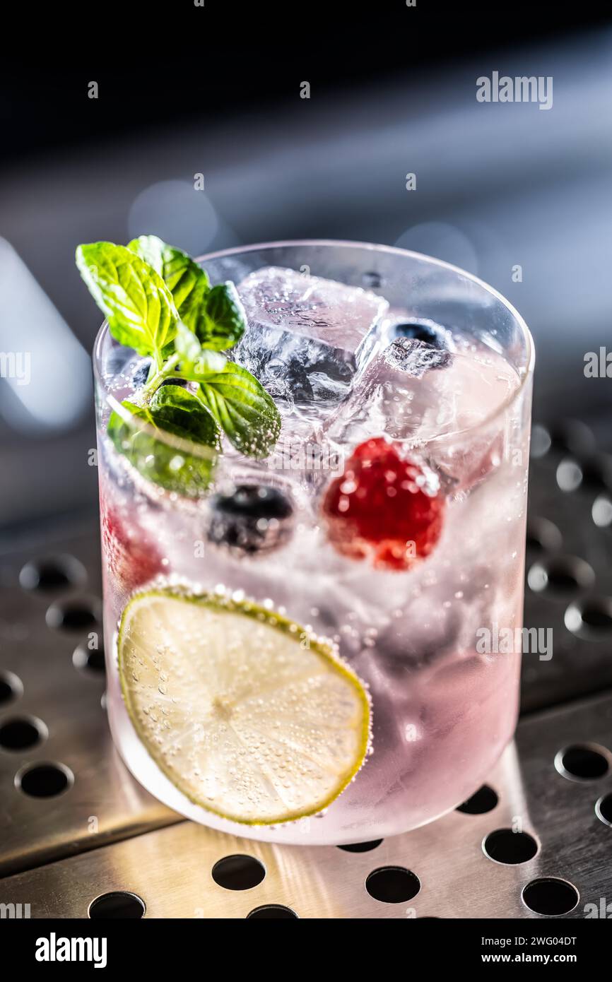 Cocktail rose Gin Tonic Drink avec framboises, myrtilles, citron vert et menthe fraîche. Banque D'Images