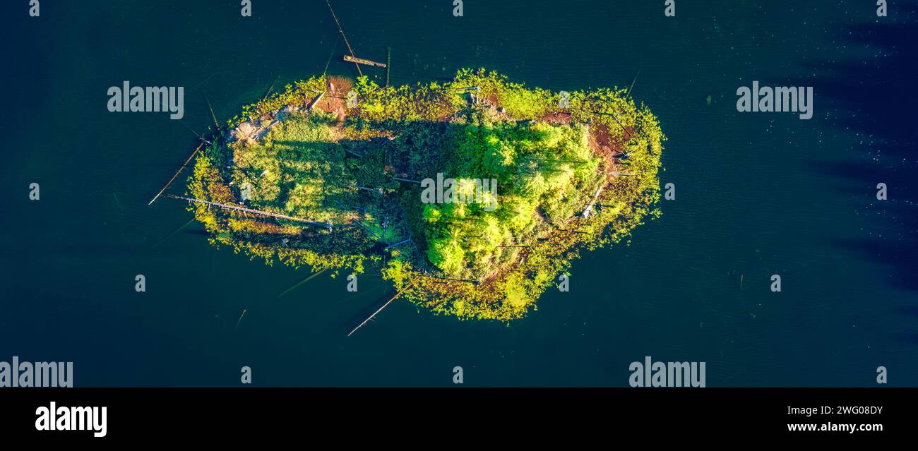 Green Island dans un lac. Vue aérienne. Île de Vancouver, Colombie-Britannique, Canada. Contexte canadien de la nature Banque D'Images
