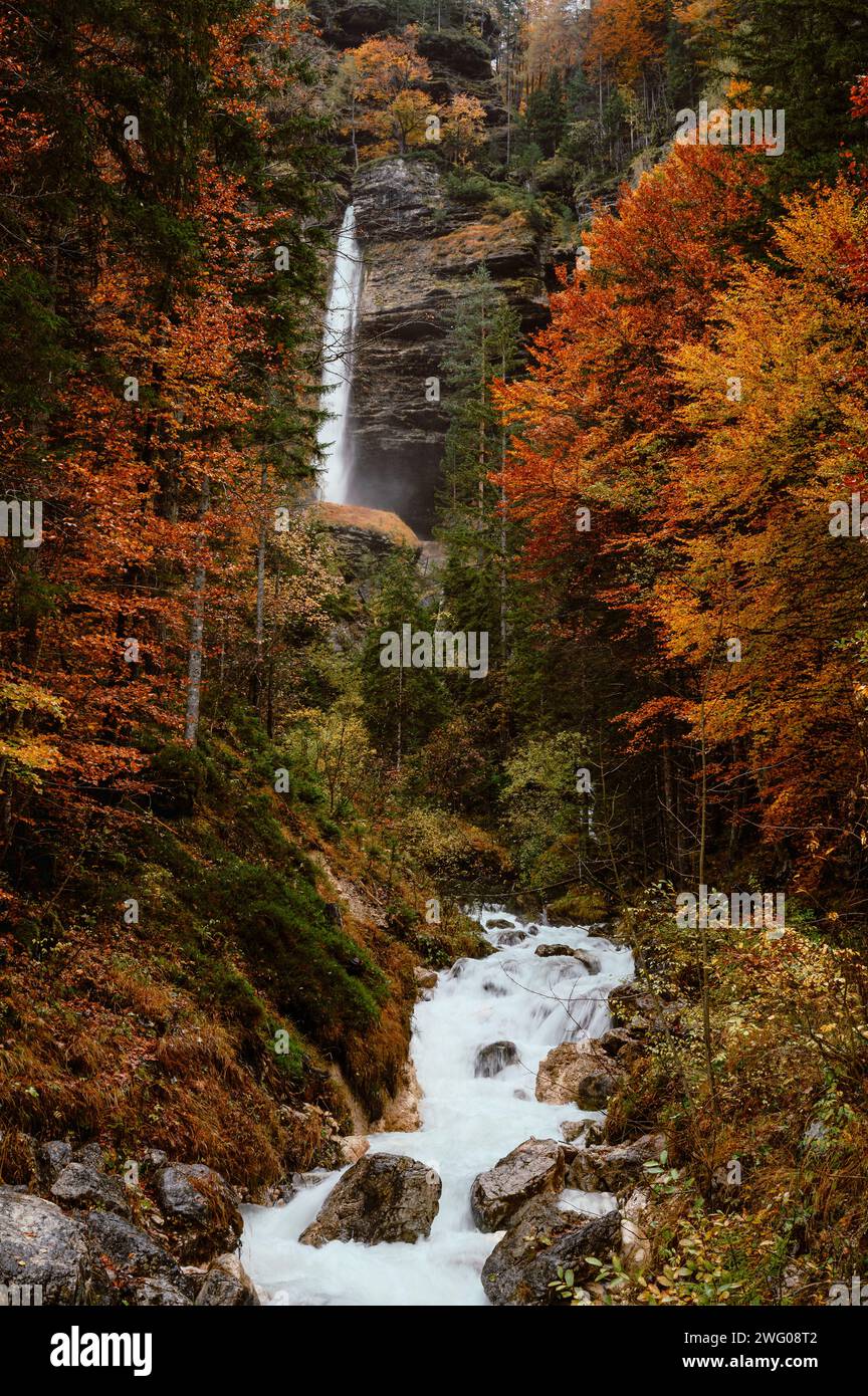 Ruisseau ondulant et chute d'eau dans la montagne avec des rochers en Slovénie, forrest d'automne avec des feuilles vertes, jaunes, oranges et brunes Banque D'Images