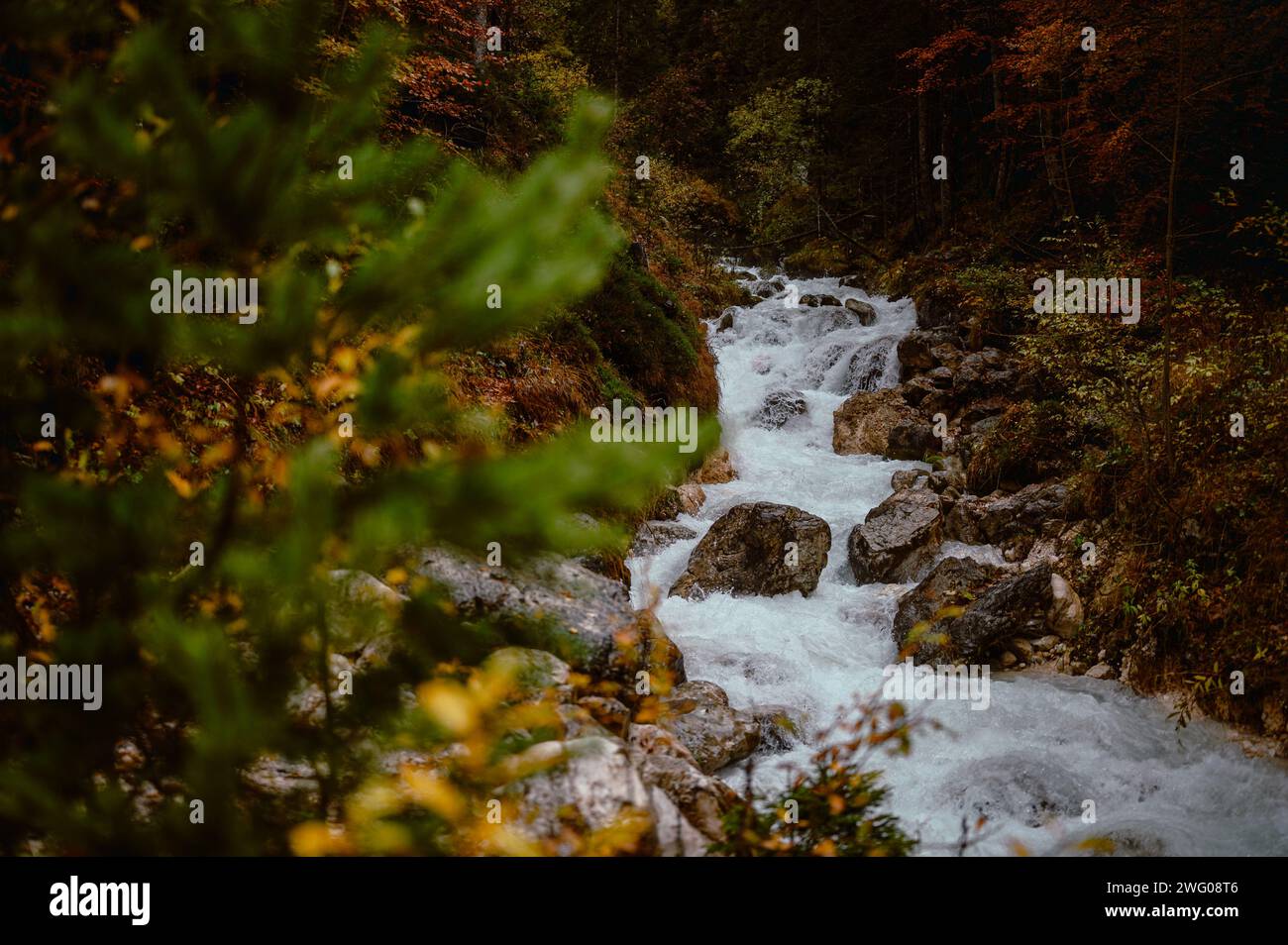 Ruisseau ondulant dans la montagne avec des rochers en Slovénie, forrest d'automne avec des feuilles vertes, jaunes, oranges et brunes Banque D'Images