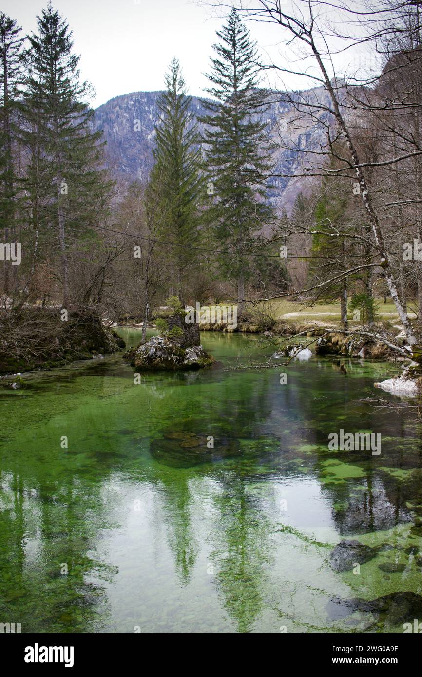Les eaux cristallines de la Save Bohinjka se jettent dans l'extrémité ouest du lac Bohinj, en Slovénie Banque D'Images