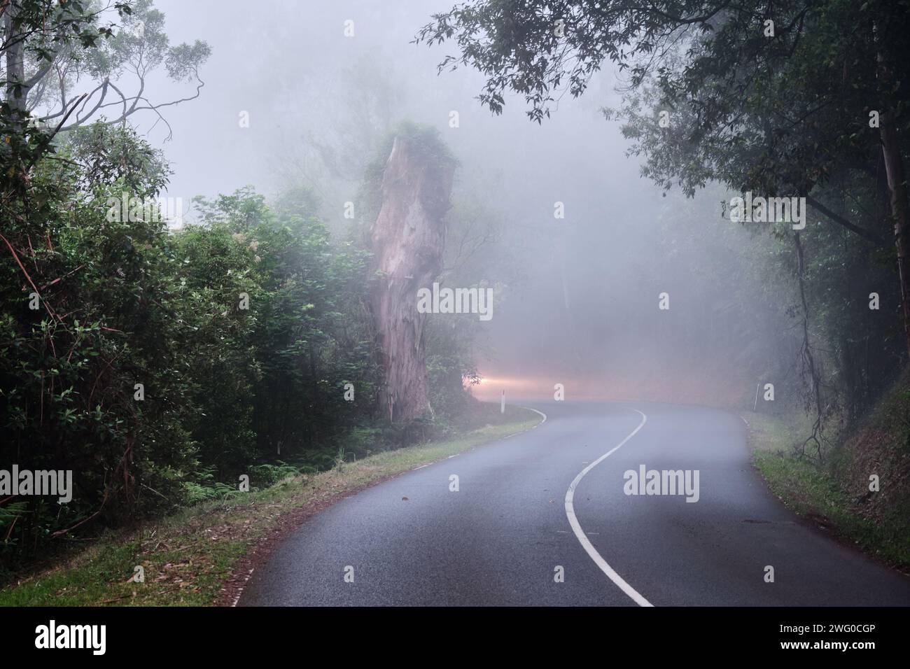 Foglight Banque D'Images