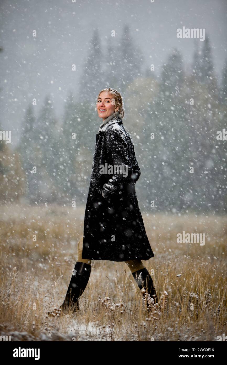 Une femme marche à travers un champ par un jour froid d'automne enneigé avec des trembles et confère en toile de fond. Banque D'Images