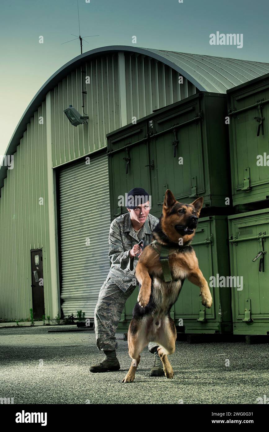 Une femme caucasienne, aviatrice des Forces de sécurité de l'Armée de l'Air en uniforme donne à son chien de travail militaire l'ordre d'attaquer. Banque D'Images