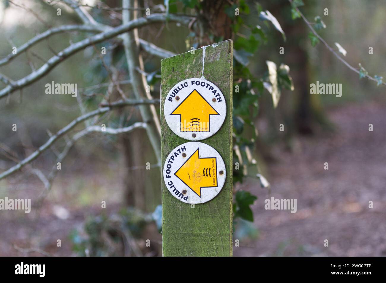 Poteau en bois avec deux panneaux circulaires indiquant la direction des sentiers publics, tout droit et tourner à gauche, marqué par des symboles fléchés vers le haut et à gauche Banque D'Images