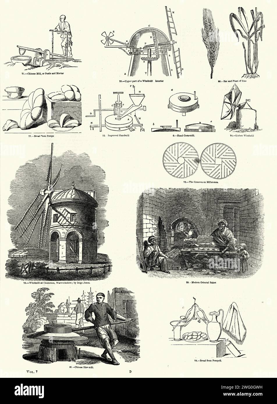Illustration vintage Histoire de la cuisson, mouture, moulin à vent, moulin, blé , riz Banque D'Images