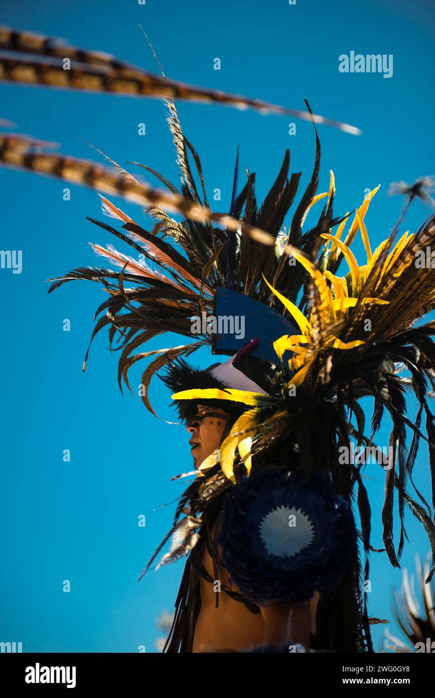 Danseuse à plumes Banque D'Images
