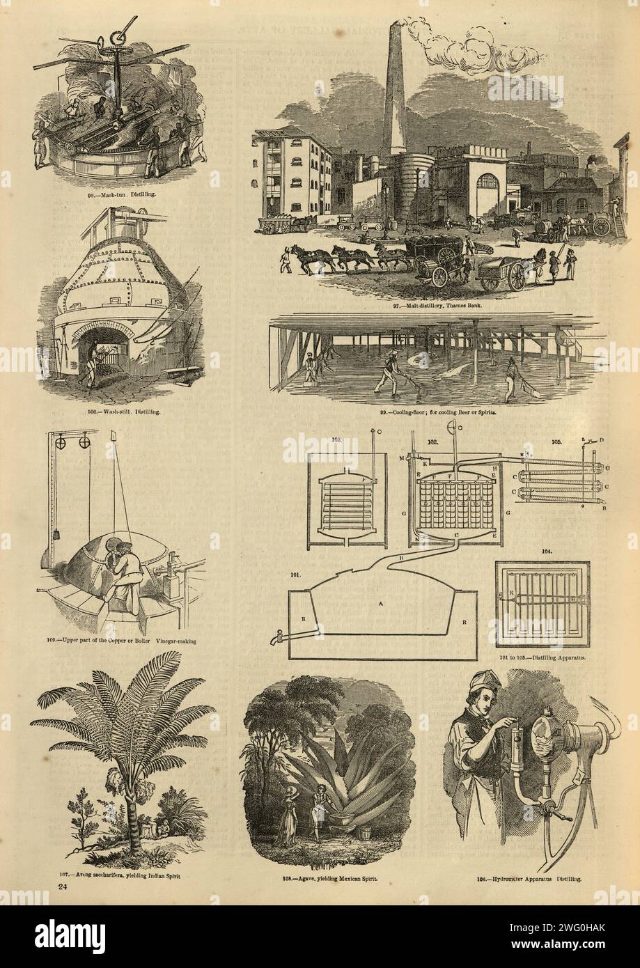 Page d'illustrations anciennes sur l'industrie brassicole de distillerie, Brasserie, distillation, Histoire, années 1850 19e siècle Banque D'Images
