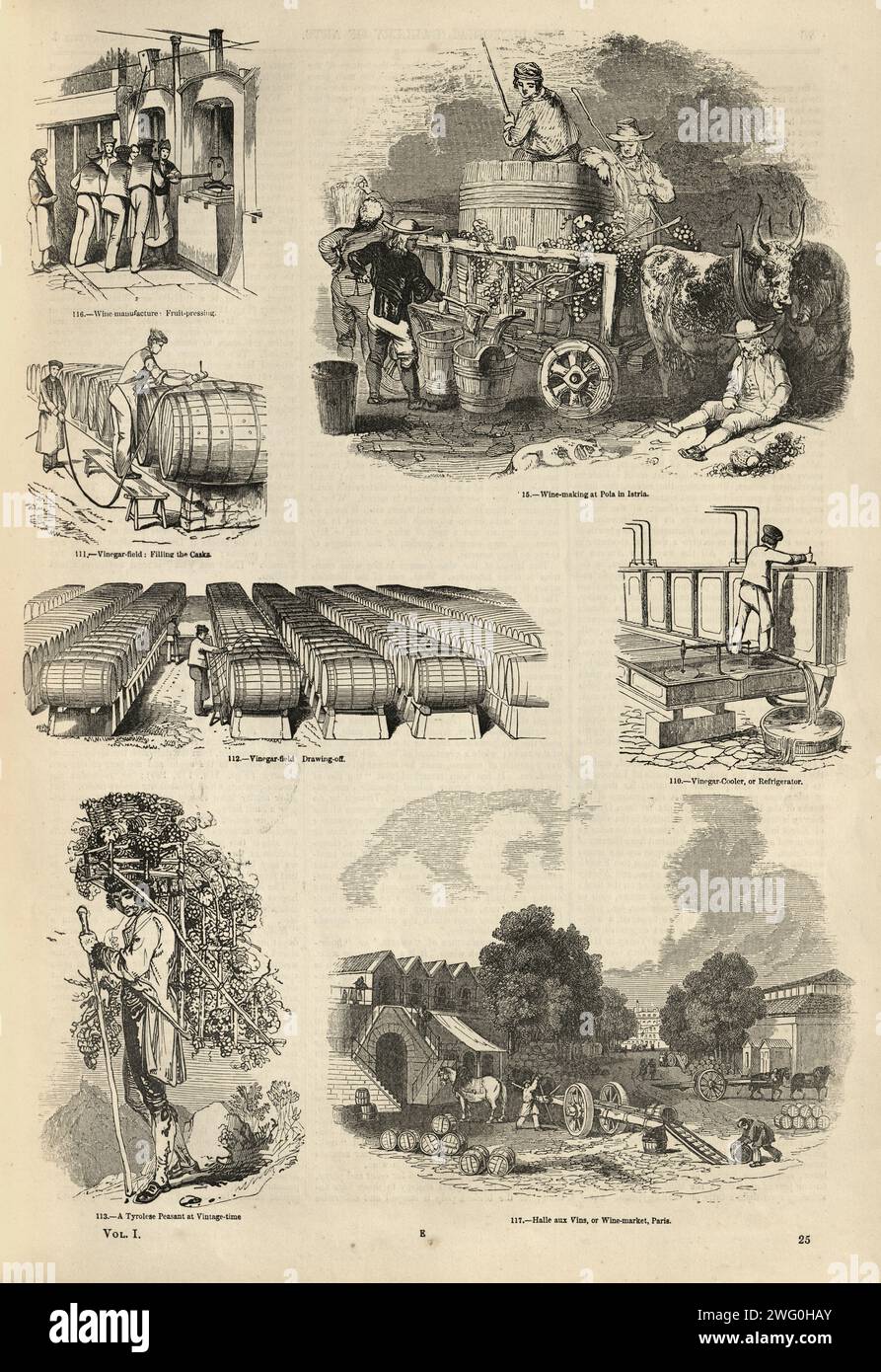 Page d'illustration vintage à voir avec la production de vin et de vinaigre, années 1850, histoire victorienne 19e siècle Banque D'Images