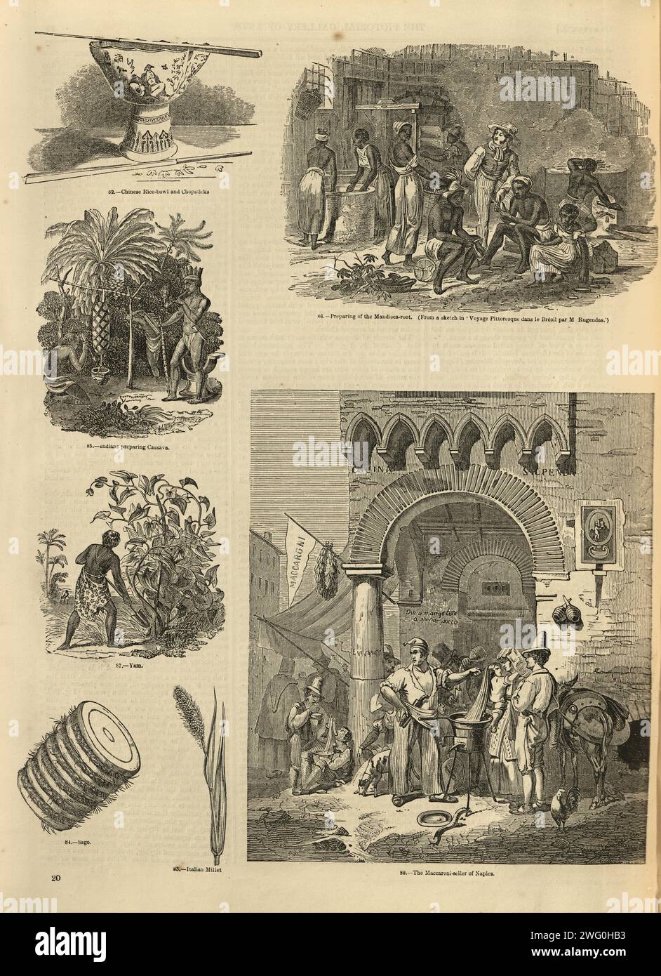 Page d'illustration vintage racine de mandoioca, manioc, Yams, Maccaroni vendeur Naples, années 1850, histoire victorienne 19e siècle Banque D'Images