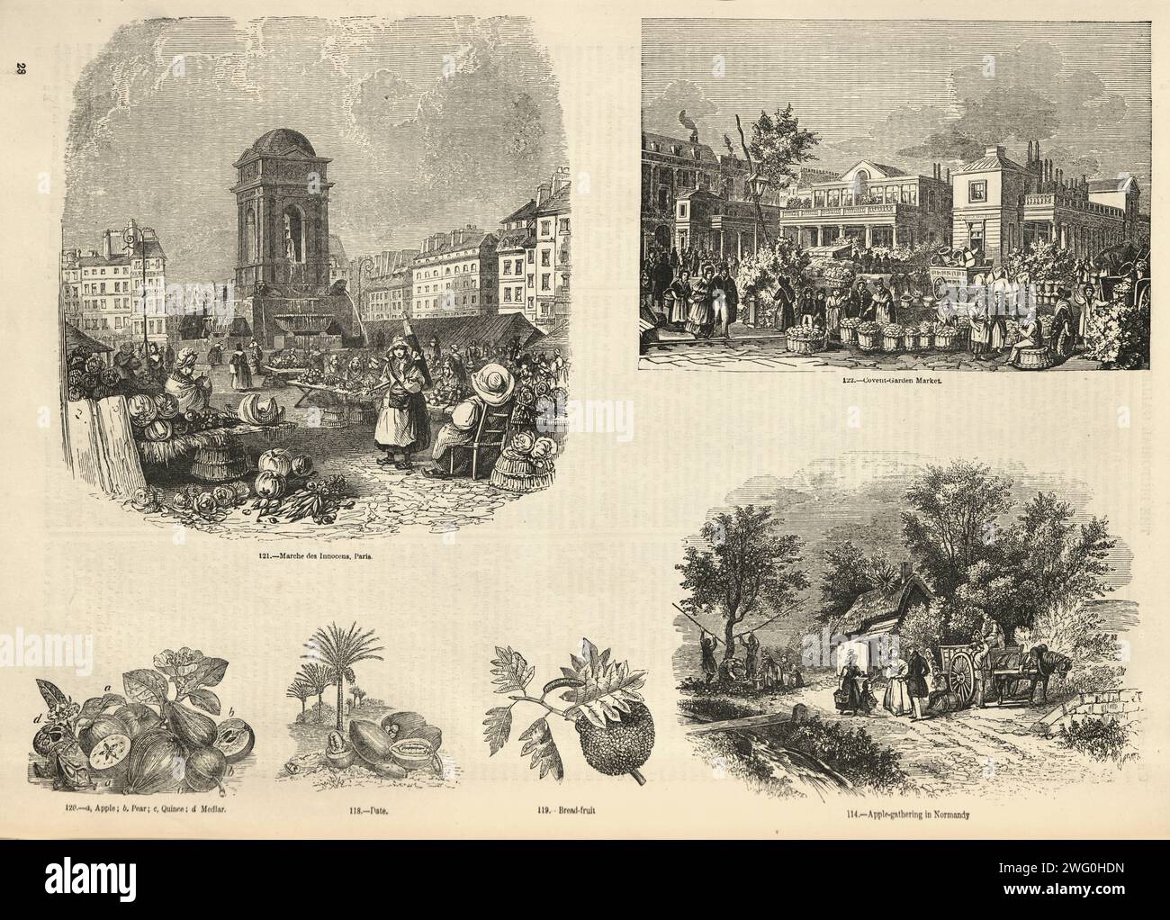 Page d'illustration vintage Marche de Innocens, Paris, Covent Garden, marchés de la ville, années 1850, histoire victorienne 19e siècle Banque D'Images