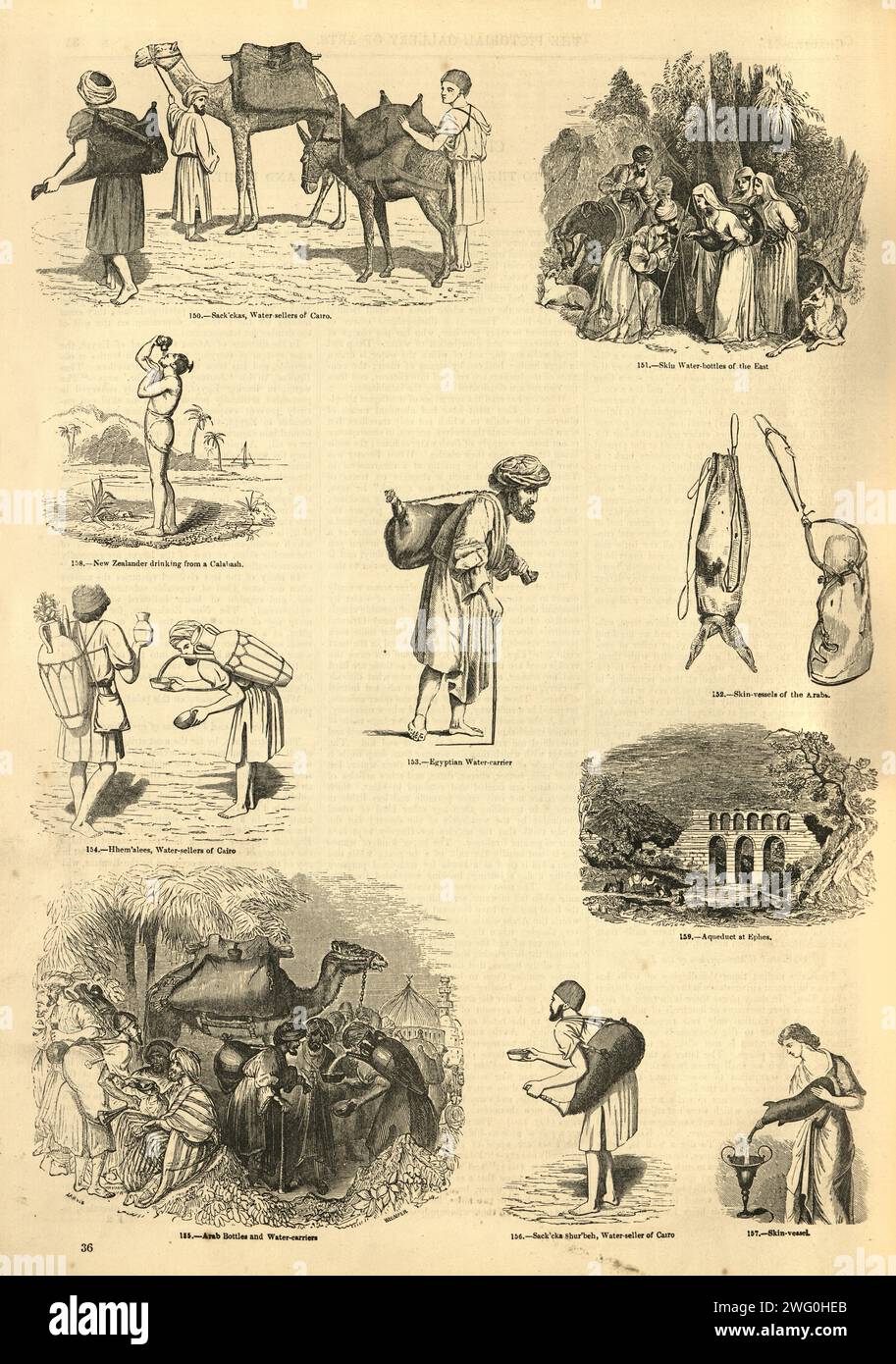 Illustration vintage vendeur d'eau, bouteilles, peaux, gourde, années 1850, victorien 19e siècle Banque D'Images