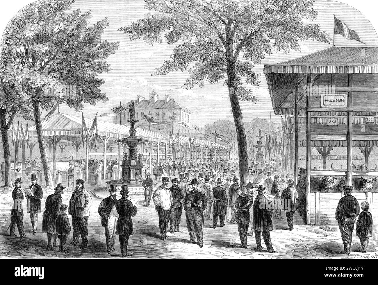 Le salon international du bétail à Poissy, [Nord de la France], 1862. 'Actuellement, la ville est simplement remarquable pour son marché aux bovins, qui a lieu tous les jeudis, et fournit, avec Sceaux, presque toutes les fournitures de viande à Paris. Les jours des deux sont cependant numérotés, et ils seront bientôt enlevés plus près de la capitale, à un lieu appelé la Villette, ce qui sera beaucoup plus pratique pour les bouchers et plus favorable à la popularité des futurs salons internationaux du bétail... nos exposants anglais ont été très alarmés au début de la réunion par une rumeur qui est arrivé à l'étranger à l'e Banque D'Images