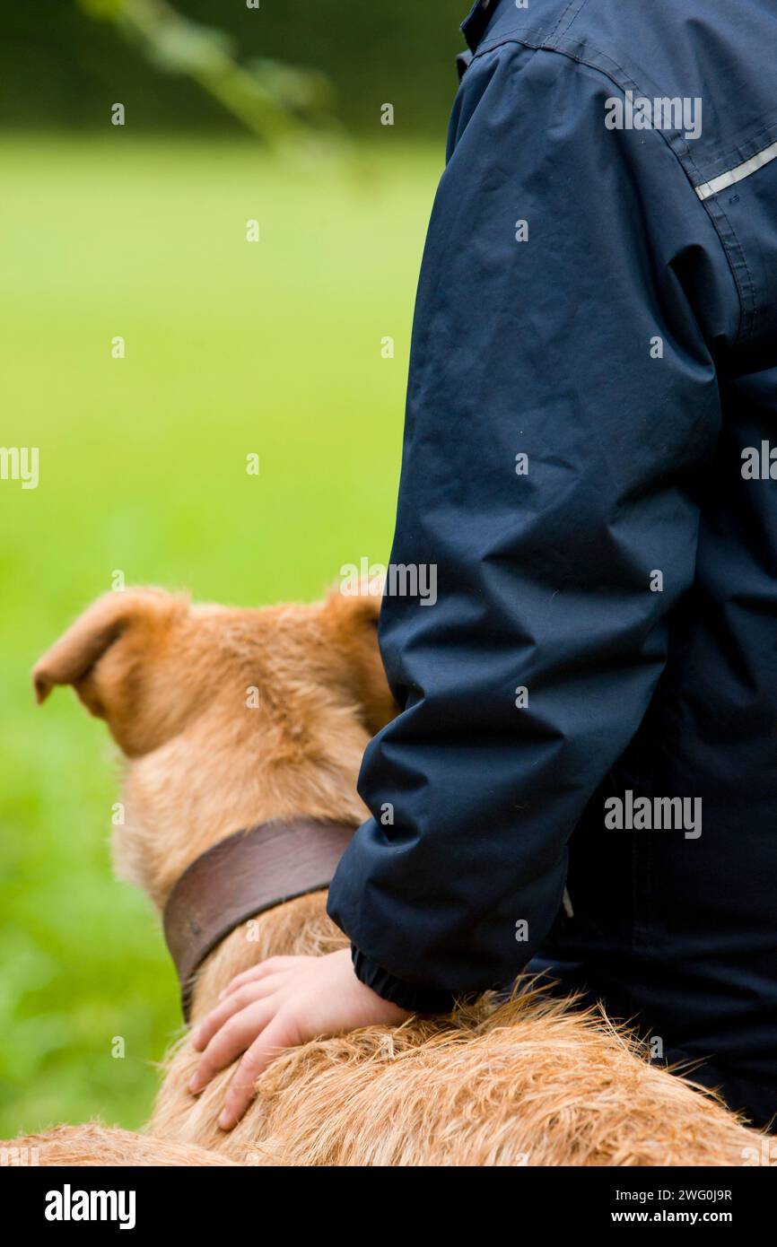 Une main de garçon repose sur son chien dans la campagne au pays de Galles, au Royaume-Uni. Banque D'Images