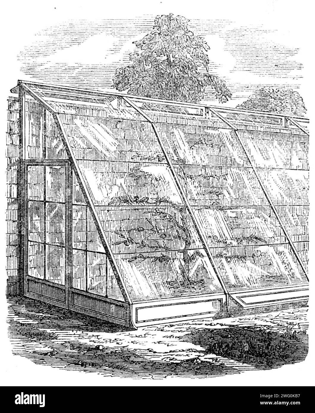 L'exposition internationale : les murs de verre de Scott, 1862. 'Un intérêt considérable s'attache aux murs de verre de la St. Pancras Ironworks Company, bien qu'ils doivent être réduits en coût avant qu'ils ne soient généralement adoptés. Ils sont conçus par James Scott, Esq., de Hornsea, un horticulteur amateur à succès. Au lieu des filets et autres protections contre le gel, M. Scott place un plafond en fer sur le mur, muni de bras de 3 pieds. 6 pouces l'un de l'autre, en saillie de 18 pouces ou 2 pieds De ceux-ci descend le cadre simple en fer, à n'importe quel angle, pour couvrir une bordure pour les fraises ou les salades d'un an Banque D'Images